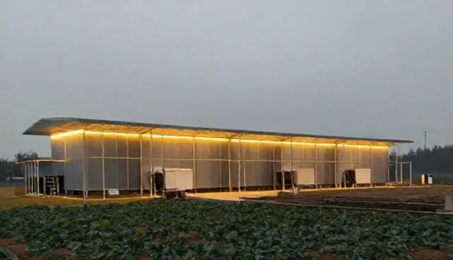 生物防治剂误区澄清,科学操作规范
